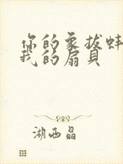 你的象拔蚌进了我的扇贝