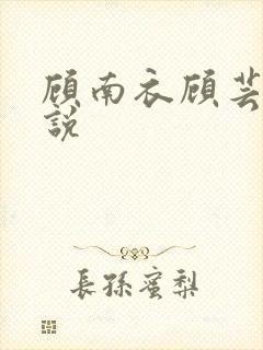 顾南衣顾芸沐小说