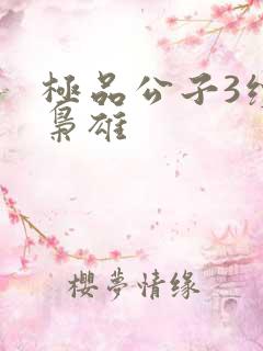 极品公子3续世枭雄