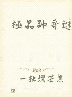 极品帅哥进化史