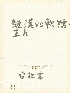 糙汉vs软糯女主h