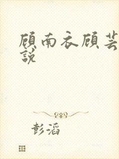 顾南衣顾芸沐小说