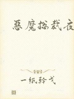 恶魔总裁夜锁爱