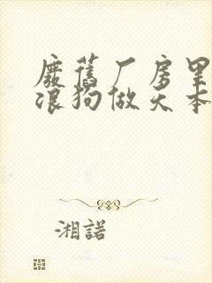 废旧厂房里和流浪狗做天本