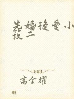 先婚后爱小说梦筱二