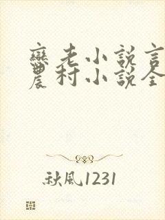 恋老小说言情网农村小说全文阅读