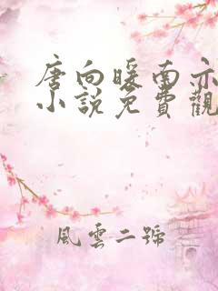 唐向暖南亦琛的小说免费观看