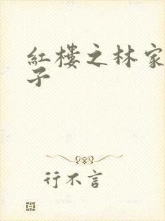 红楼之林家庶长子