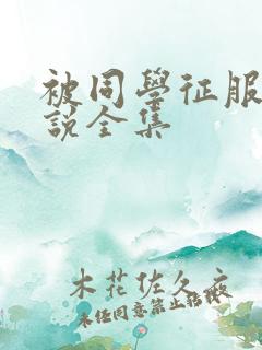 被同学征服的小说全集