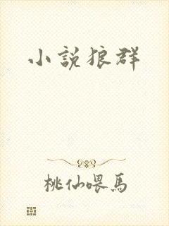 小说狼群