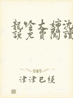 龙吟大婶沈浩小说免费阅读笔趣阁