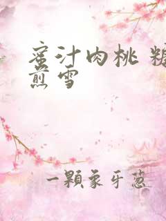 蜜汁肉桃 糖梨煎雪