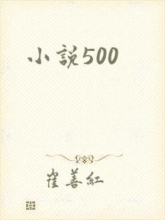 小说500