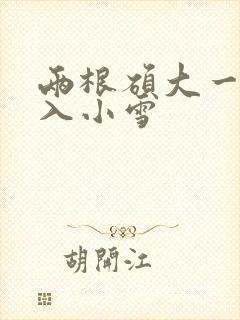 两根硕大一起挤入小雪