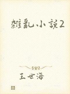 杂乱小说2