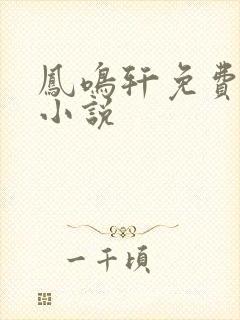 凤鸣轩免费言情小说