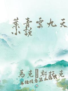 叶青云九天玄宗小说