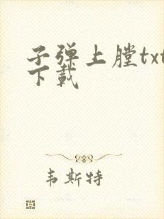 子弹上膛txt下载