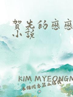 贺先的恋恋不忘小说