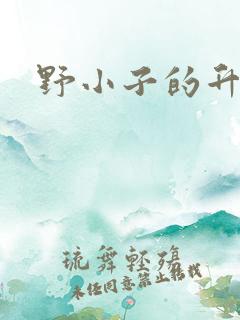 野小子的升官路