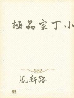 极品家丁小说