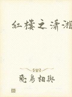 红楼之潇湘水云