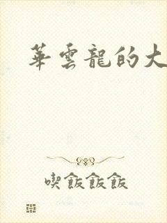 华云龙的大宝贝