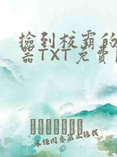 捡到校霸的遥控器TXT免费阅读