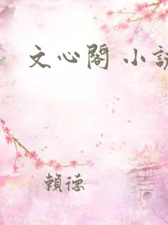 文心阁 小说