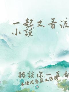 一起又看流星雨小说