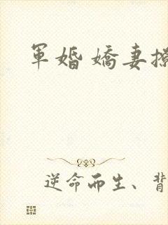 军婚 娇妻撩人