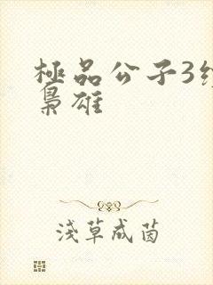 极品公子3续世枭雄