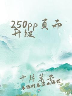 250pp页面升级