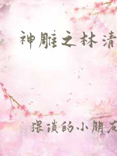神雕之林清传