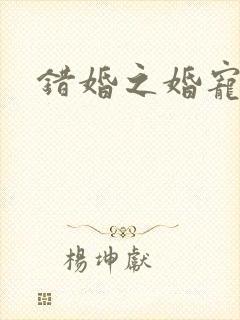 错婚之婚宠一世