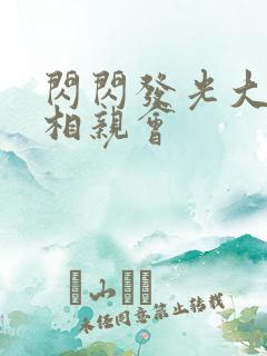 闪闪发光大团圆相亲会