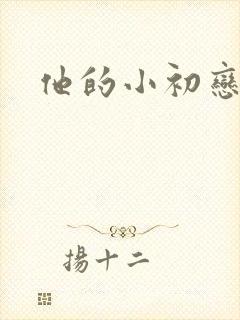他的小初恋