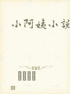 小阿姨小说