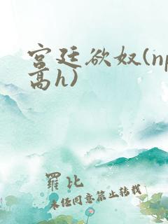 宫廷欲奴(np高h)