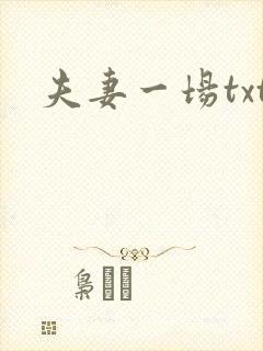 夫妻一场txt
