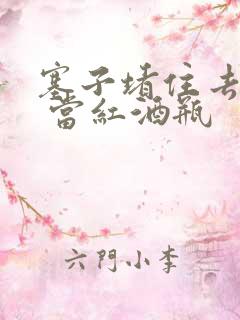 塞子堵住去上学 当红酒瓶