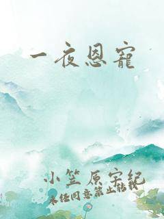 一夜恩宠