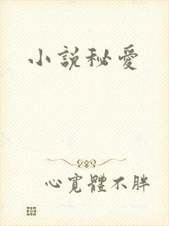 小说秘爱