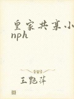 皇家共享小公主nph