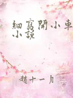 细写开小车车的小说