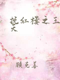 挽红楼之玉舞九天