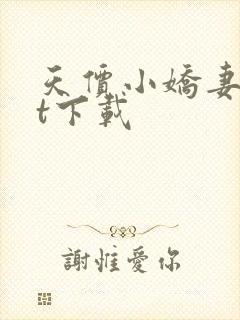 天价小娇妻txt下载