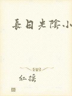 长日光阴小说