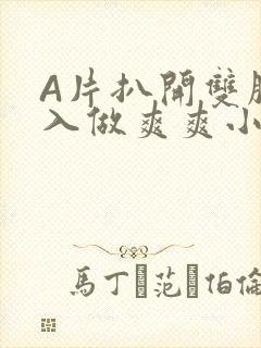 A片扒开双腿进入做爽爽小说