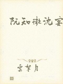 阮知微沈宴电竞